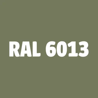 Sprej RAL 6013 - Rychleschnoucí syntetická barva