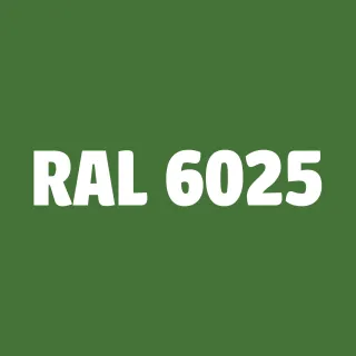 Sprej RAL 6025 - rychleschnoucí barva ve spreji