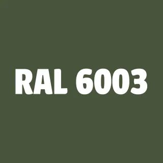 Sprej RAL 6003 - Odolná syntetická barva