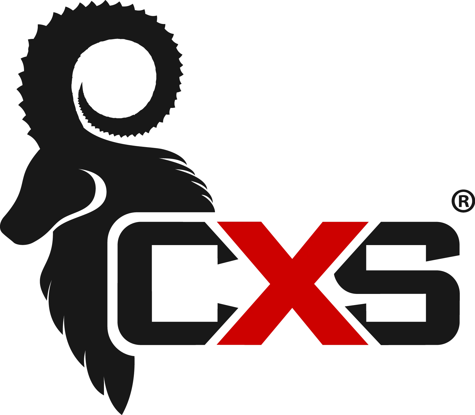 CXS